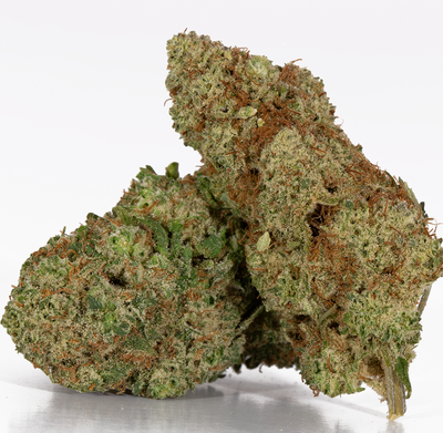 S.F.V( Hybrid)