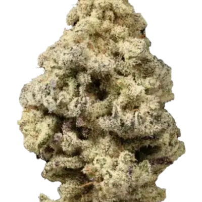 Cheetah Fuel (Hybrid)