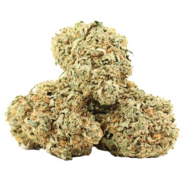 BC Big bud Sativa-Dominant Hybrid